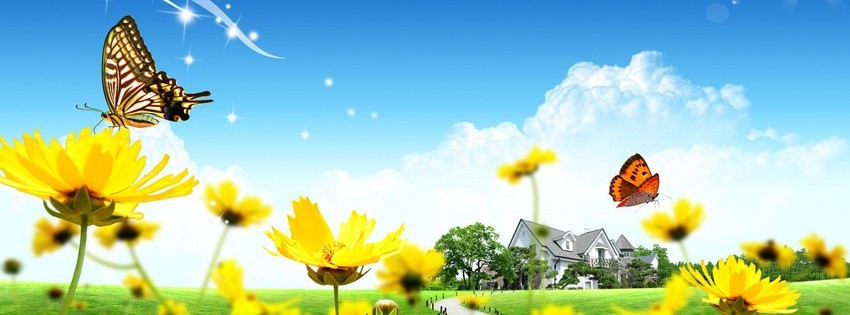 Flowers and butterflies covers - Facebook timeline covers maker
