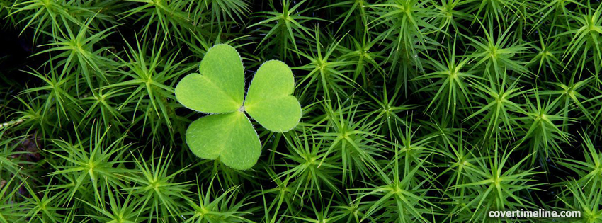 Clover Cover Timelnie - Facebook timeline covers maker clover-cover-timelnie - Facebook timeline covers maker